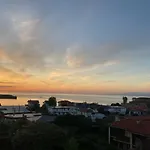 La Casa Del Gallo *