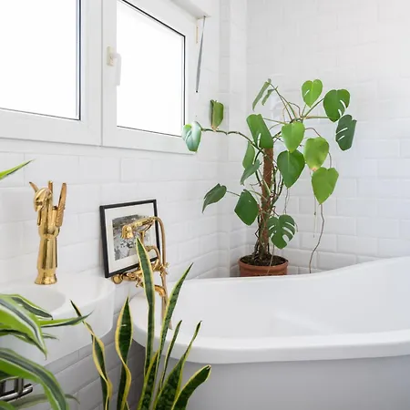 Διαμέρισμα La Casa Del Gallo Luanco