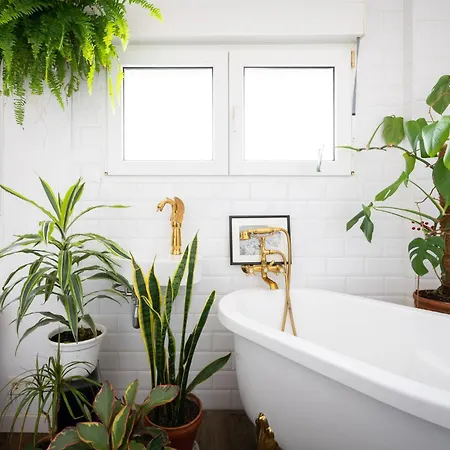 La Casa Del Gallo * Luanco