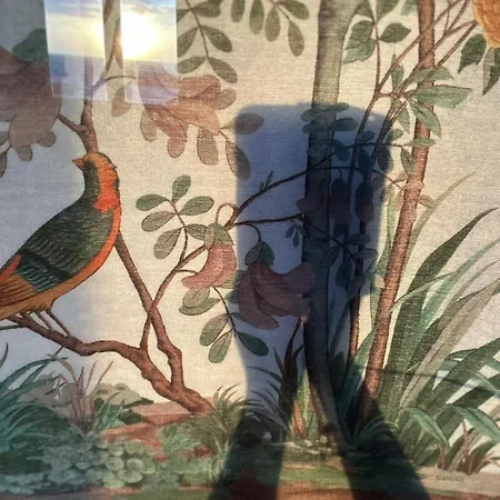 Διαμέρισμα La Casa Del Gallo Luanco