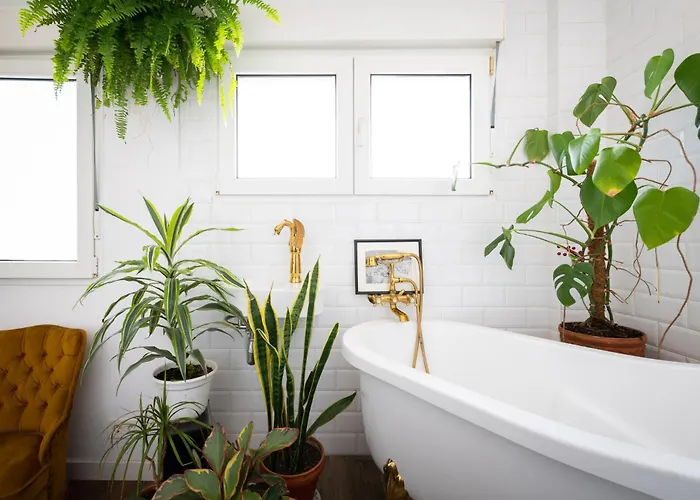 La Casa Del Gallo * Luanco